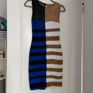 Black and blue / white and gold Halloween costume